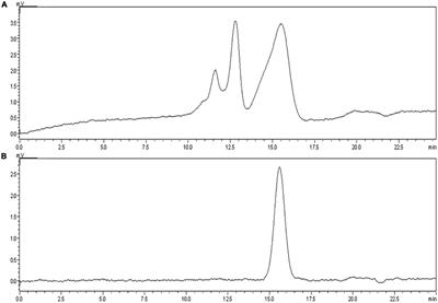 Extraction and immunomodulatory activity of the polysaccharide obtained from Craterellus cornucopioides